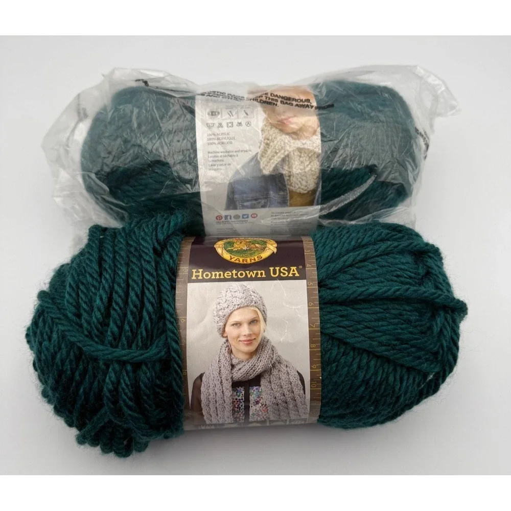 2 Skeins Lion Brand Yarn 135-175E Hometown Bulky Yarn, Montpelier Peacock
